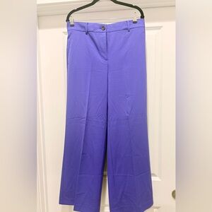 Ann Taylor Vibrant Purple Wide Leg  Trousers